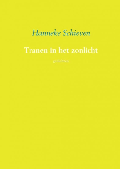 Afbeelding van Tranen in het zonlicht