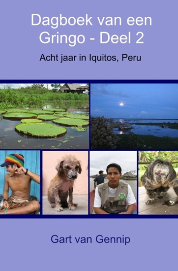 Afbeelding van Dagboek van een Gringo Deel 2