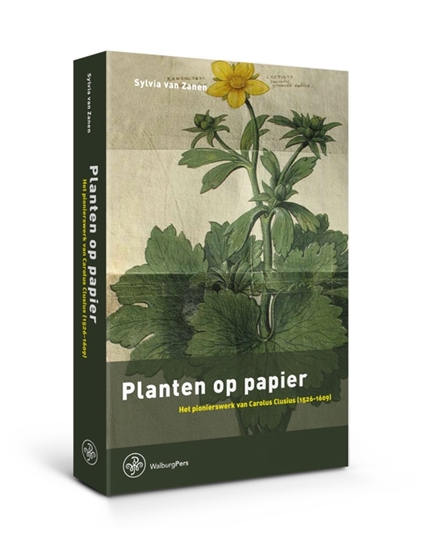 Afbeelding van Planten op papier
