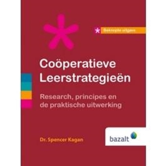 Afbeelding van Beknopte uitgave Cooperatieve Leerstrategieën