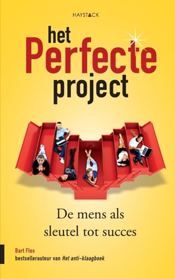 Afbeelding van Het perfecte project