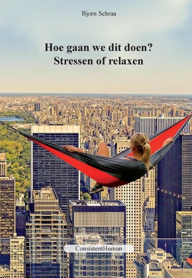 Afbeelding van Hoe gaan we dit doen?