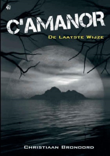 Afbeelding van De Laatste Wijze