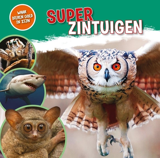 Afbeelding van Waar dieren goed in zijn! Superzintuigen
