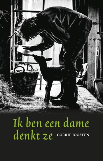 Afbeelding van Ik ben een dame denkt ze