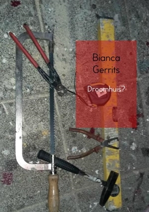 Afbeeldingen van Droomhuis?