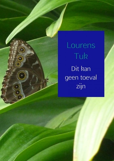 Afbeelding van Dit kan geen toeval zijn