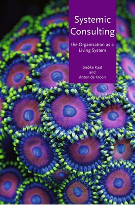 Afbeeldingen van Systemic consulting