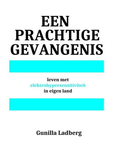 Afbeelding van Een prachtige gevangenis