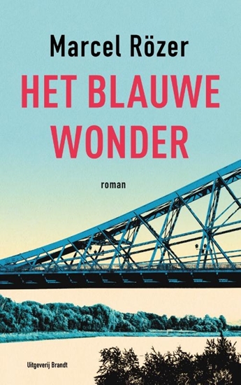 Afbeelding van Het blauwe wonder