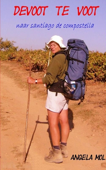 Afbeelding van Devoot te voot