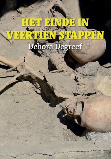 Afbeelding van Het einde in veertien stappen