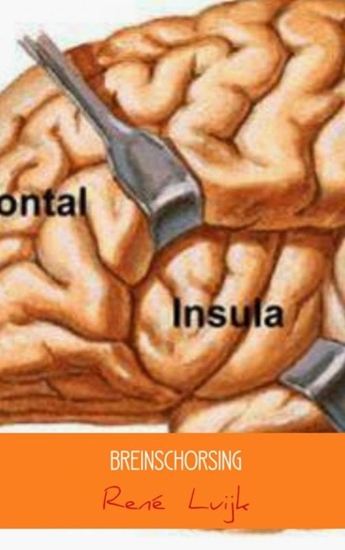 Afbeelding van Breinschorsing