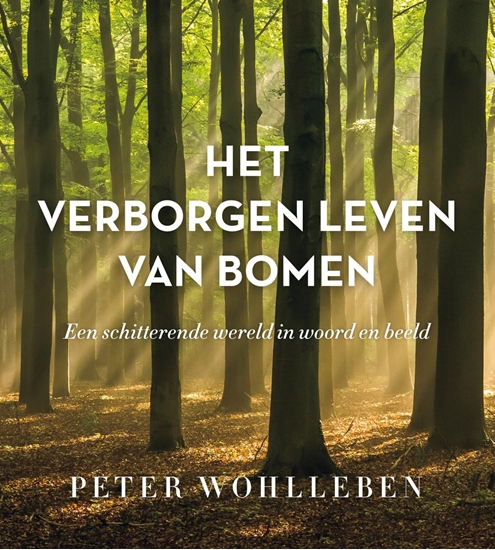 Afbeelding van Het verborgen leven van bomen