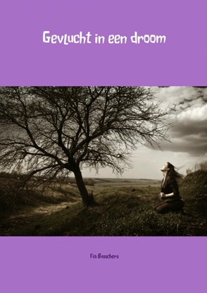 Afbeeldingen van Gevlucht in een droom