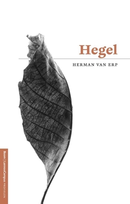 Afbeeldingen van Profielen Hegel
