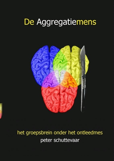 Afbeelding van De aggregatiemens
