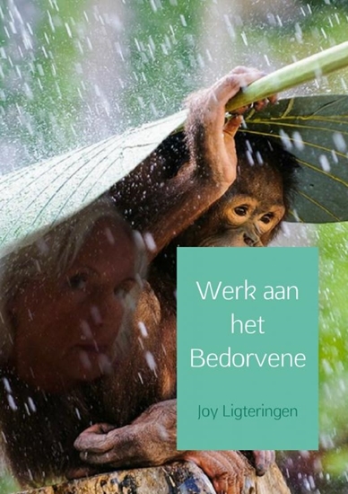 Afbeelding van Werk aan het bedorvene