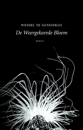 Afbeeldingen van De weergekeerde bloem