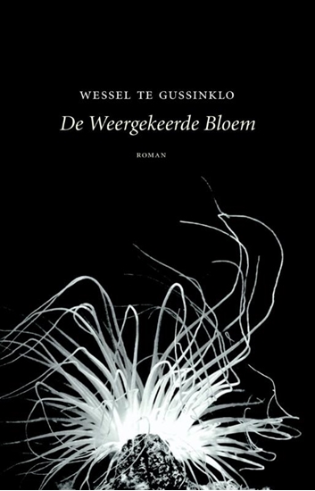 Afbeelding van De weergekeerde bloem