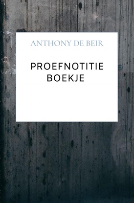 Afbeeldingen van Proefnotitie Boekje