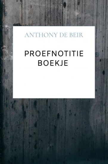 Afbeelding van Proefnotitie Boekje