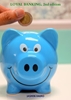 Afbeelding van Loyal banking