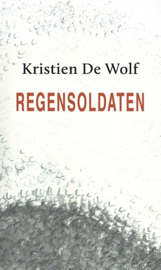 Afbeelding van Regensoldaten