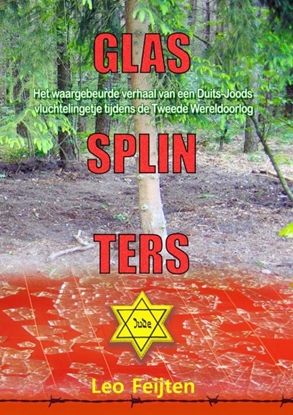 Afbeeldingen van Glassplinters