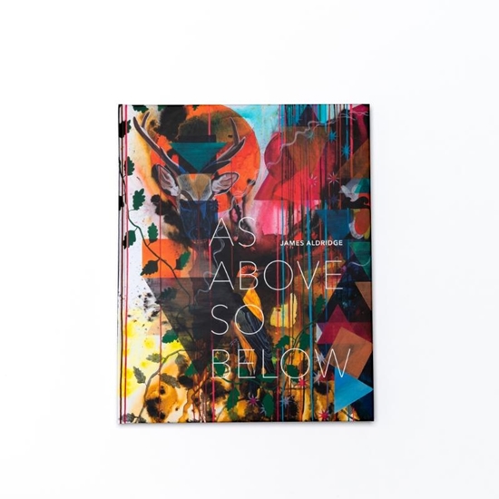 Afbeelding van James Aldridge, As above so below