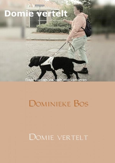 Afbeelding van Domie vertelt...