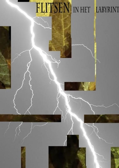 Afbeelding van Flitsen in het labyrint