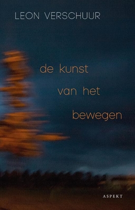 Afbeeldingen van De kunst van het bewegen