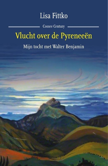 Afbeelding van Vlucht over de Pyreneeën