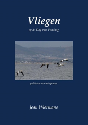 Afbeeldingen van Vliegen