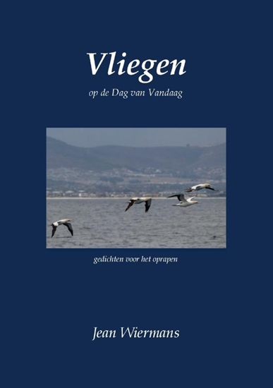 Afbeelding van Vliegen