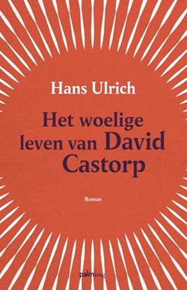 Afbeeldingen van Het woelige leven van David Castorp