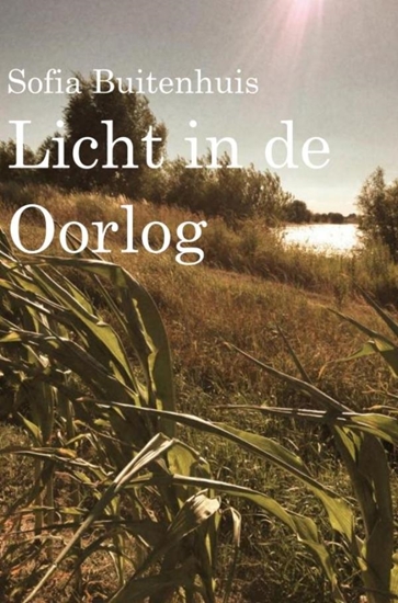 Afbeelding van Licht in de oorlog
