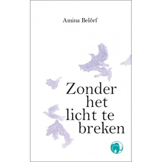 Afbeelding van Zonder het licht te breken