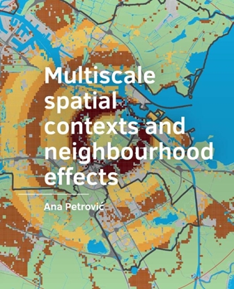 Afbeeldingen van Multiscale spatial ­contexts and ­neighbourhood effects