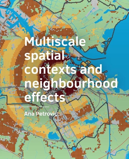 Afbeelding van Multiscale spatial ­contexts and ­neighbourhood effects