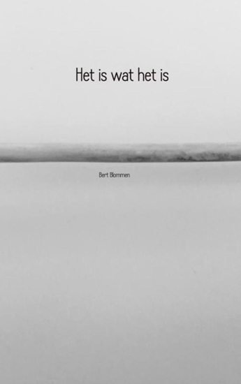 Afbeelding van Het is wat het is