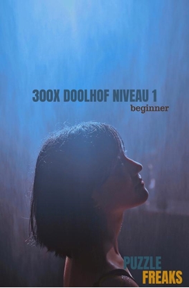 Afbeeldingen van 300X DOOLHOF NIVEAU 1