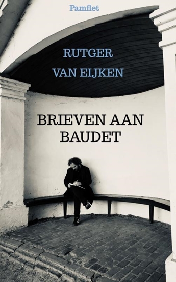 Afbeelding van Brieven aan Baudet