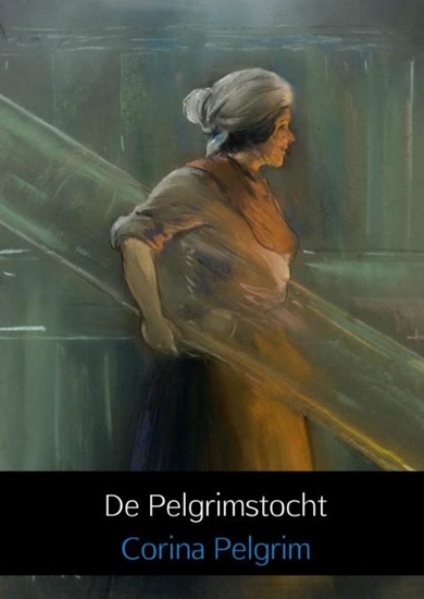 Afbeelding van De Pelgrimstocht