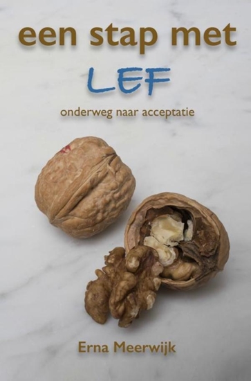 Afbeelding van Een stap met lef