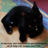 Afbeelding van Ik ben Leo, een hulphond in een kattenjasje en ik help mijn baasje met PTSS