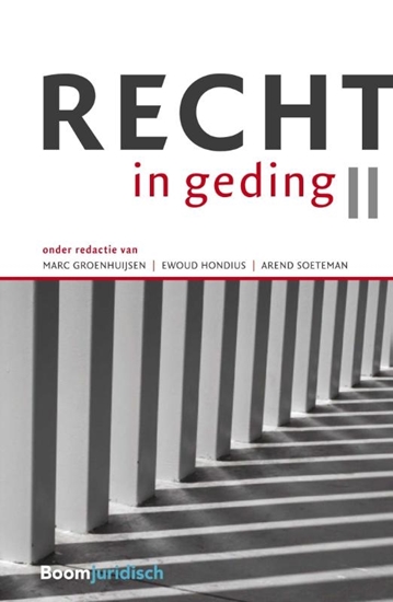 Afbeelding van Recht in geding II