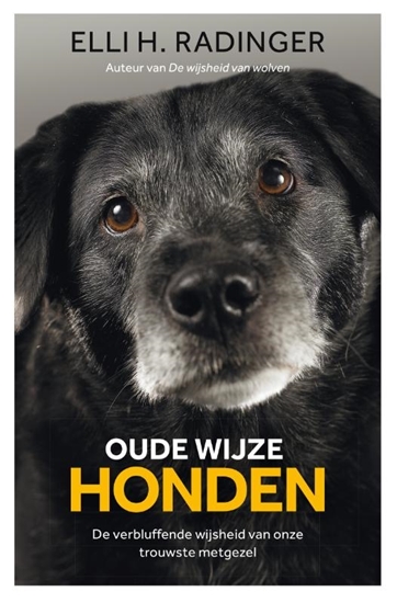 Afbeelding van Oude wijze honden