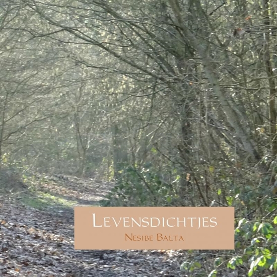 Afbeelding van Levensdichtjes